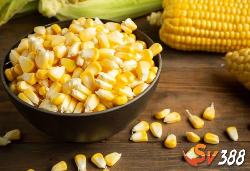 Không nên cho ăn đồ ăn quá cứng trước 10 ngày khi đá Không nên cho ăn đồ ăn quá cứng trước 10 ngày khi đá