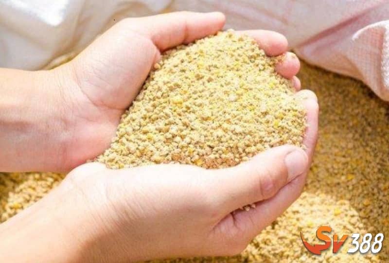 Nên bổ sung thêm chất khoáng hoặc chất điện giải cho gà uống Nên bổ sung thêm chất khoáng hoặc chất điện giải cho gà uống