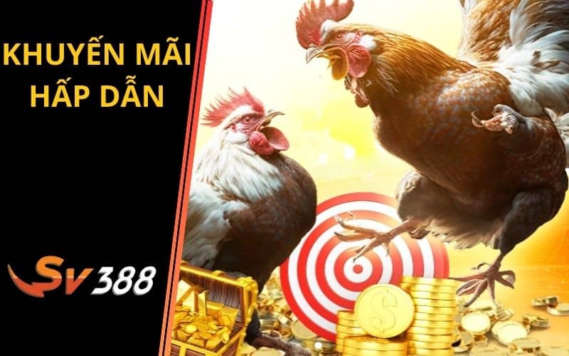 Nhiều chương trình khuyến mãi hấp dẫn cho người chơi Nhiều chương trình khuyến mãi hấp dẫn cho người chơi