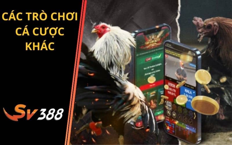 Nhiều trò chơi cá cược hấp dẫn khác Nhiều trò chơi cá cược hấp dẫn khác