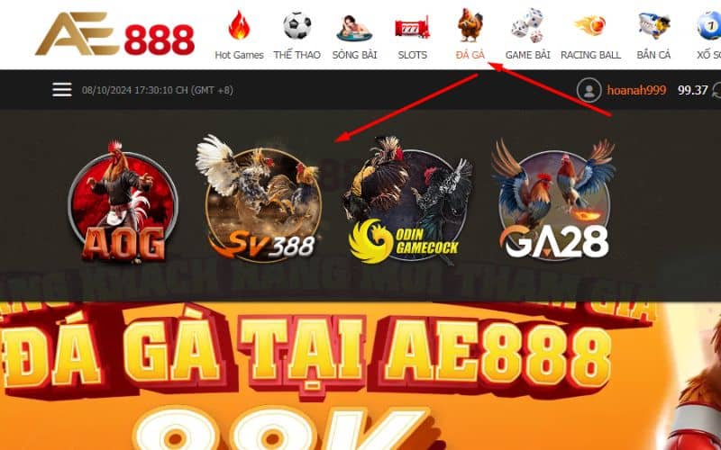 Chọn đá gà và chọn sảnh SV388